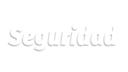 seguridad3